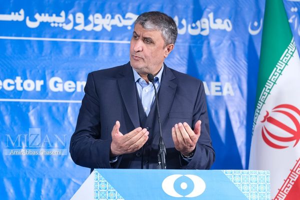 رئيس الطاقة الذرية الإيرانية: المهم التخصيب وليس نسبته