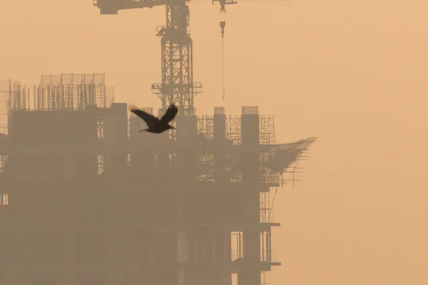 وزارت بهداشت: آموزشوپرورش تهران با درخواست تعطیلی مدارس موافقت نکرد