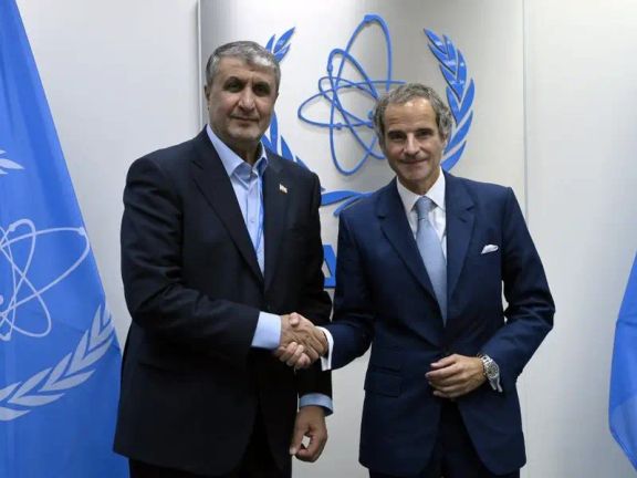 رئيس منظمة الطاقة الذرية الإيرانية يتهم "الوكالة الدولية" بـ"تسييس" القضية النووية