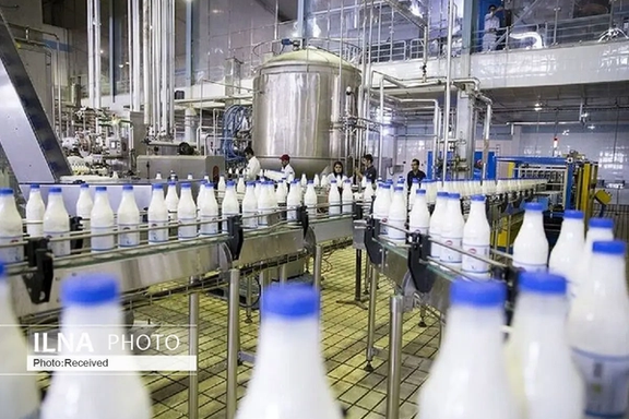 Workers at an Iranian dairy processing plant oversee bottles of milk moving along a production line.