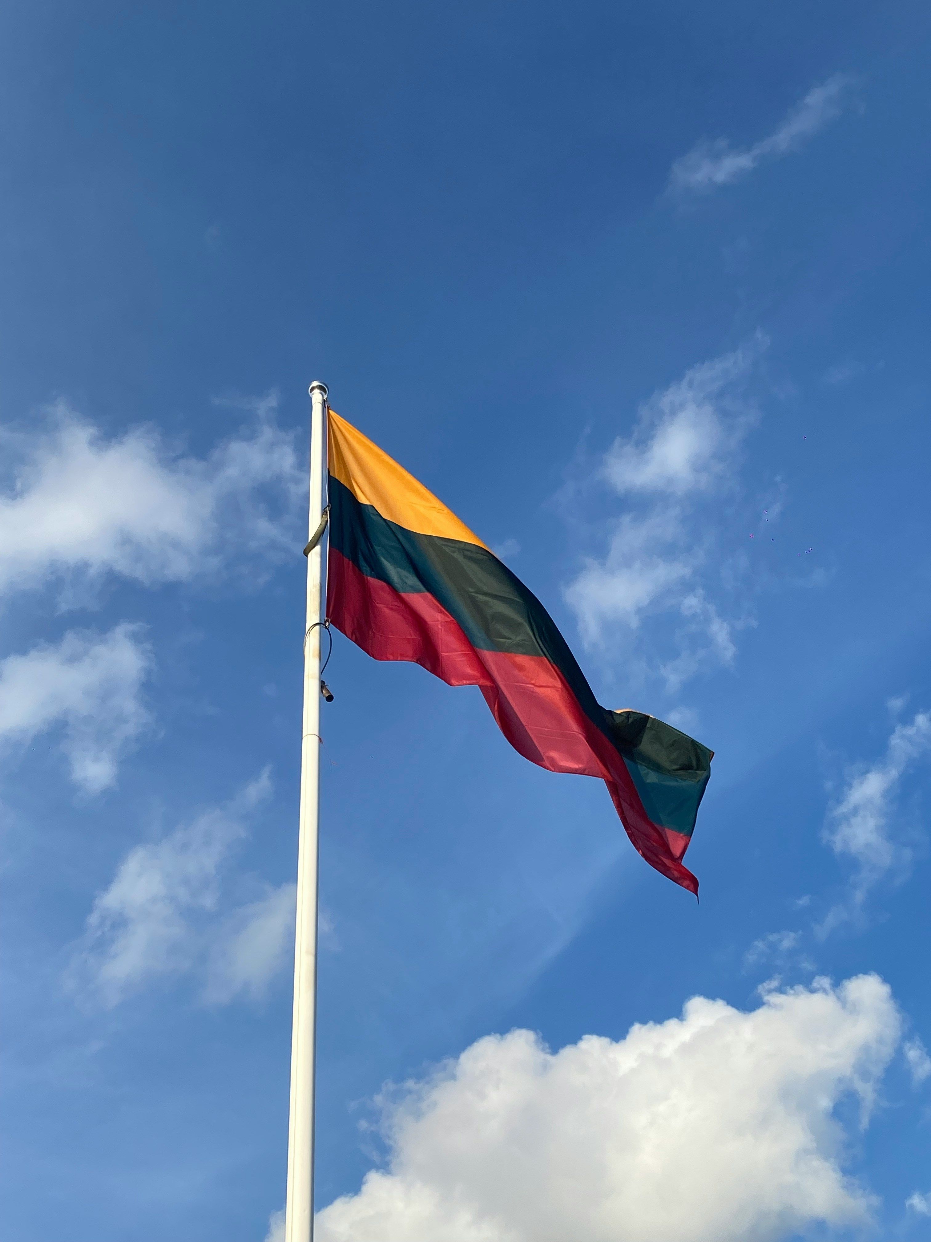 لیتوانی خواستار اقدام فوری ناتو برای مقابله با تهدیدات هوایی روسیه شد