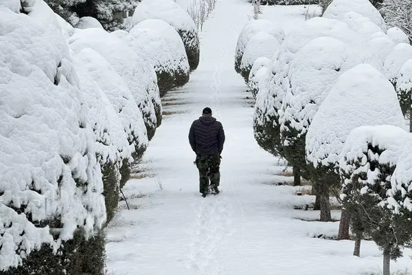 Iran after the crackdown: serenity on screens, grief on the streets