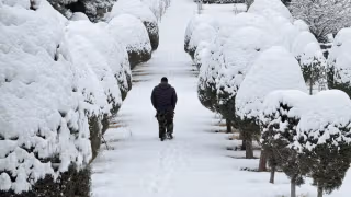 Iran after the crackdown: serenity on screens, grief on the streets