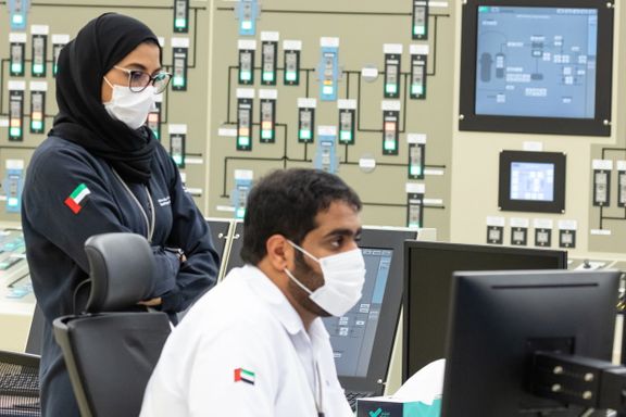 UAE's Nuclear Plant 'Well Protected', Regulator Says Amid Houthi Threats