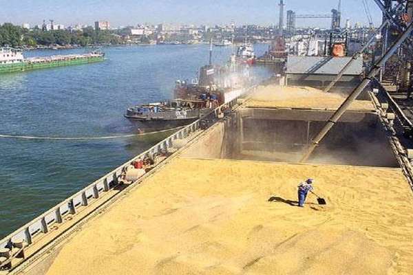 Animal Feed Prices Increase 5 To 6 Times In Iran