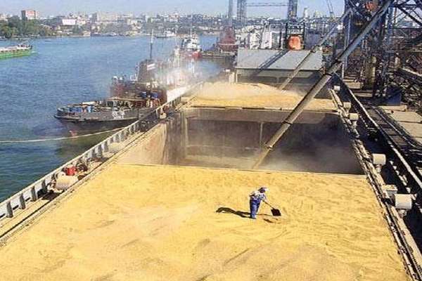 Iran Needs At Least 7 Million Tons Of Wheat Imports This Year