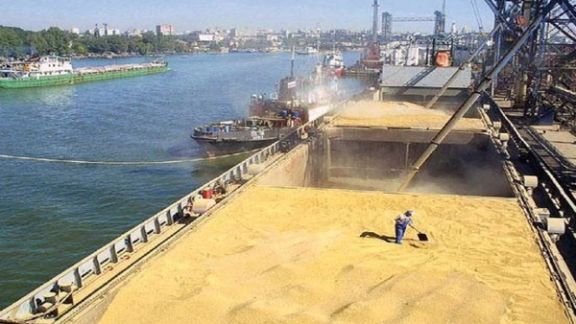 Animal Feed Prices Increase 5 To 6 Times In Iran