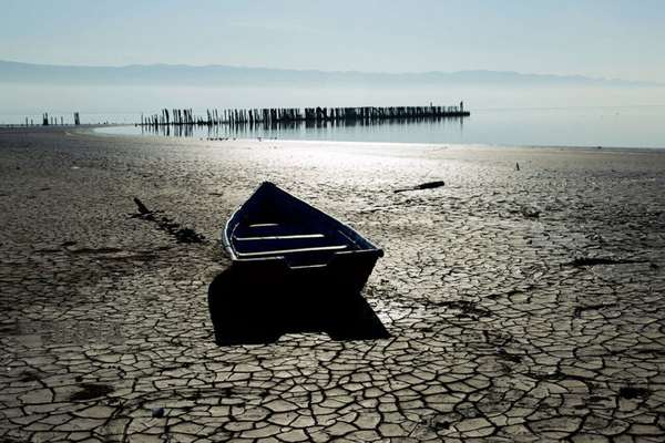 Only three to five years left to save Gorgan Gulf, watchdog warns