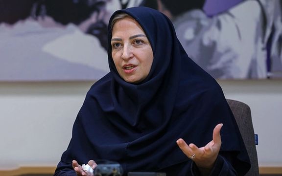 رییس سازمان محیط زیست: آلایندههای خطرناک محیط زیست از آنچه فکر میکنیم به ما نزدیکترند