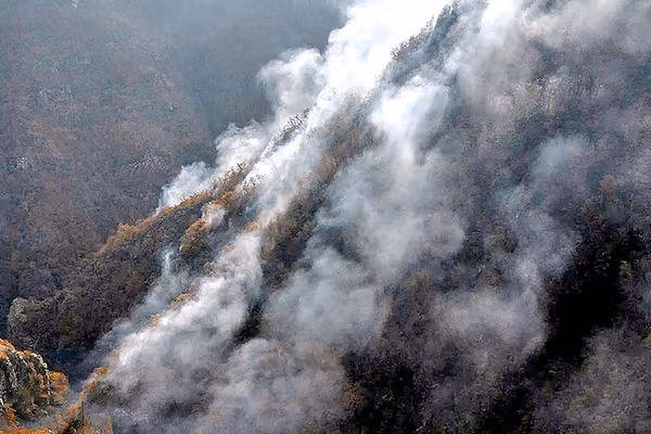 وزش باد آتشسوزی در جنگلهای الیت چالوس را دوباره شعلهور کرد