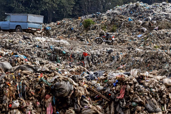 عضو شورای شهر تهران: شهرداری حتی در جمعآوری پسماند هم ناتوان است