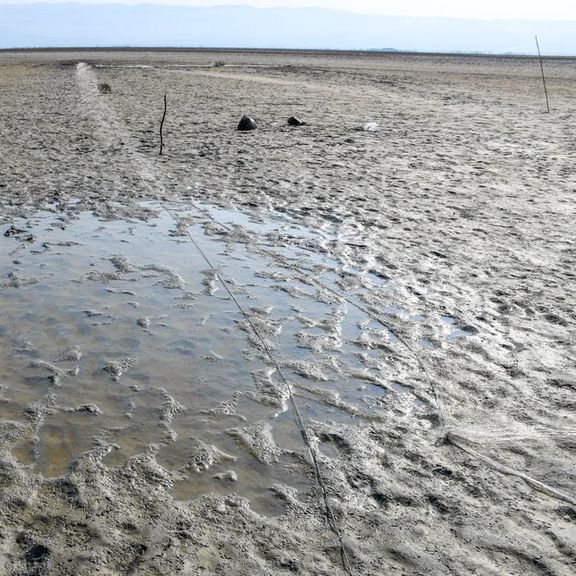 بیم و امیدها برای حفظ حیات تالاب میانکاله زیر سایه پروژه پتروشیمی