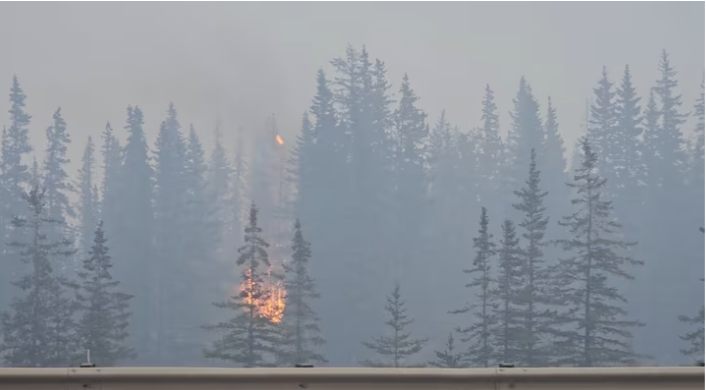 خاکستر شدن بخش بزرگی از شهر گردشگری جاسپر در کانادا