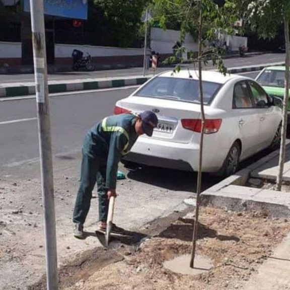 کاشت نهال در محل پیدا شدن پیکر بابک خرمدین