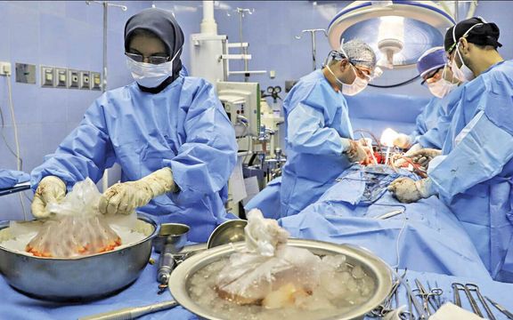 مدیرعامل انجمن اهدای عضو: سالانه ۶ تا ۸ هزار عضو سالم را به خاک میسپاریم و از دست میدهیم