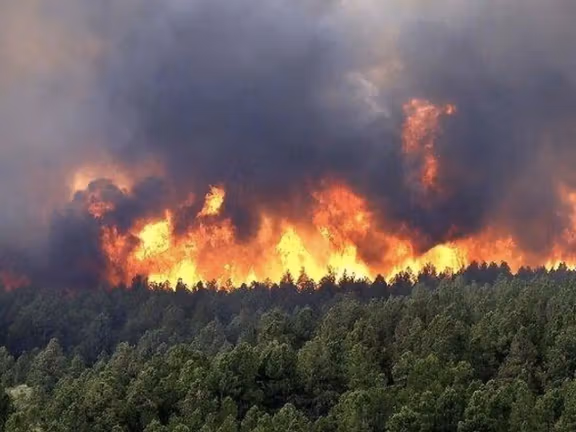 افزایش هشدارها درباره تبعات حریق جنگلهای هیرکانی؛ کاربران از بیتفاوتی حکومت انتقاد کردند