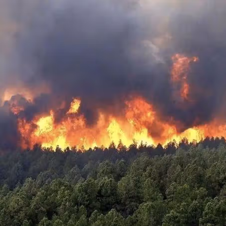 افزایش هشدارها درباره تبعات حریق جنگلهای هیرکانی؛ کاربران از بیتفاوتی حکومت انتقاد کردند