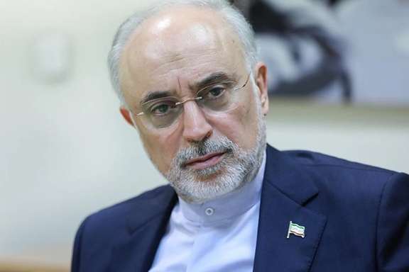 Iran's former foreign minister, Ali Akbar Salehi