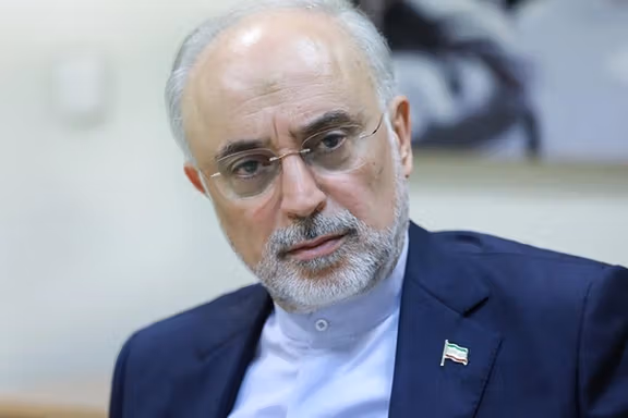 Iran’s former nuclear chief Ali-Akbar Salehi