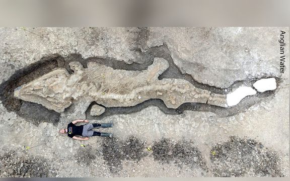 اسکلت یک خزنده عظیمالجثه، با قدمت حدود ۱۸۰ میلیون سال، در بریتانیا کشف شد