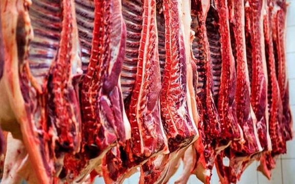 رییس اتحادیه دام سبک: مسئولان به عمد بازار گوشت را ملتهب نگه میدارند