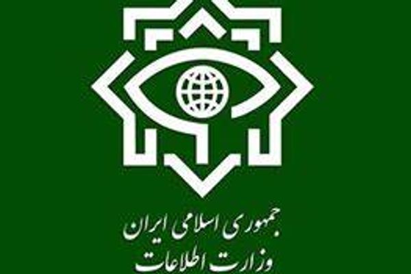 الاستخبارات الإيرانية تلقي القبض على مواطن سويدي بتهمة "التجسس"