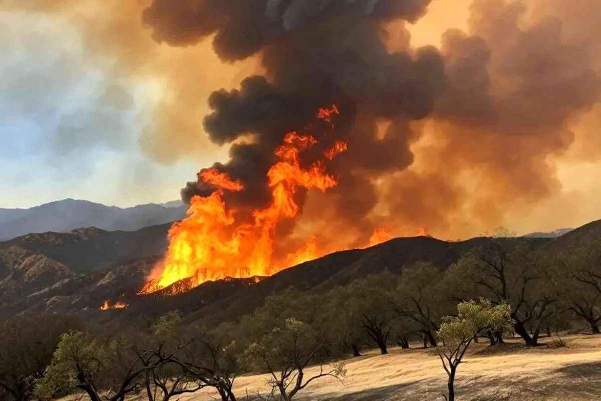  سازمان مدیریت بحران: هیچ کشوری به کمک مهار آتش در جنگل‌های شمال ایران نیامد