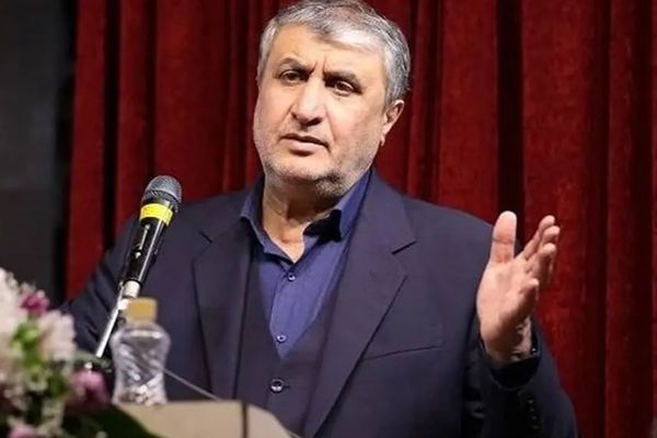رییس سازمان انرژی اتمی: بدون اقدامهای احتیاطی، ازسرگیری کامل بازرسی آژانس ممکن نیست