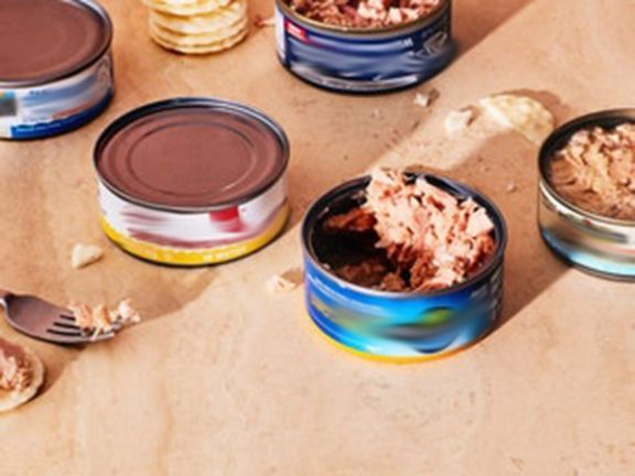 دبیر سندیکای صنایع کنسرو ایران: کنسرو تن ماهی از سفره اقشار کم درآمد حذف شد