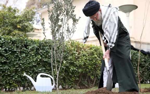 علی خامنهای: یک درخت زیتون از راه دور به یاد فلسطینیها کاشتم