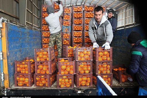 Iranian Suicides Underscore Dire Impact Of Economic Struggles