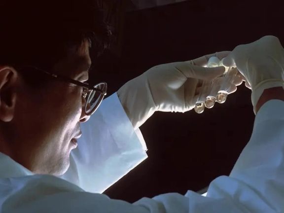 کشف جدید دانشمندان: حیات پیچیده روی زمین شاید ۱/۵ میلیارد سال زودتر آغاز شده باشد