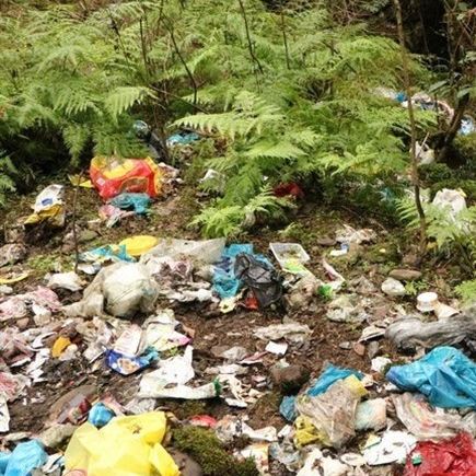 روزنامه همشهری: طی سه دهه ۳۰ سایت دفن زباله در جنگلهای هیرکانی ایجاد شده است