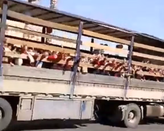 آموزش و پرورش جهرم از حملونقل دانشآموزان با کامیون «حمل دام» ابراز تاسف کرد