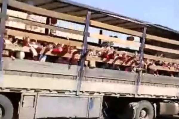آموزش و پرورش جهرم از حملونقل دانشآموزان با کامیون «حمل دام» ابراز تاسف کرد