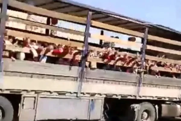 آموزش و پرورش جهرم از حملونقل دانشآموزان با کامیون «حمل دام» ابراز تاسف کرد