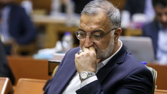 شهردار تهران: باید ببینیم اصل ماجرا چیست که عدهای حیوانات خود را به پارک میبرند