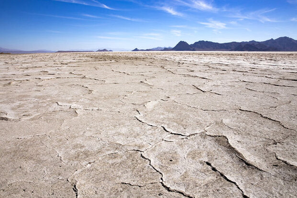 No surviving wetlands remain in Iran’s southern Fars province, report says