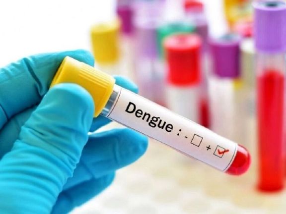 سخنگوی کمیسیون بهداشت مجلس: ۱۵۰ هزار کیت تشخیص تب دنگی در گمرک مانده و ترخیص نمیشود