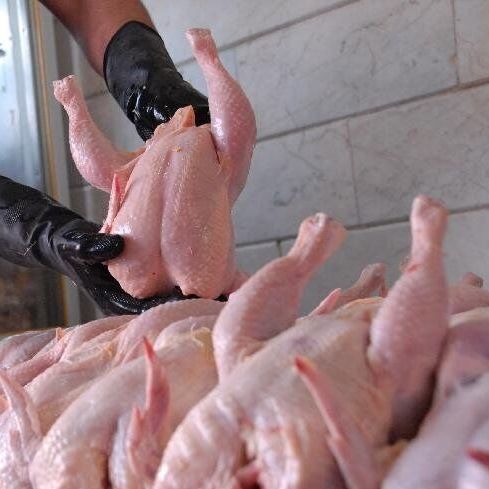 ادامه افزایش قیمت مرغ و رسیدن هر کیلو به ۱۱۲ هزار تومان