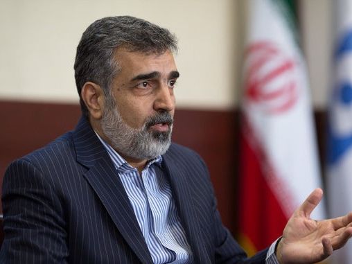 کمالوندی درباره ابراز نگرانی شدید گروسی از سایتهای مشکوک ایران: شاید تحریف شده