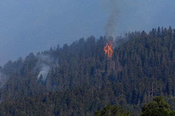 آتشسوزی در جنگلها؛ نیمکره شمالی زمین به بالاترین میزان گرمای هوا رسیده است