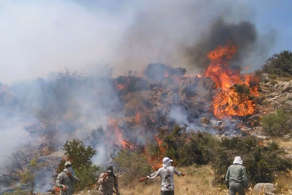 Wind and dry vegetation fuel forest fires in Iran’s Hyrcanian woodlands