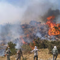 Wind and dry vegetation fuel forest fires in Iran’s Hyrcanian woodlands
