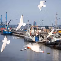 Can the Caspian give Iran a way around Hormuz?