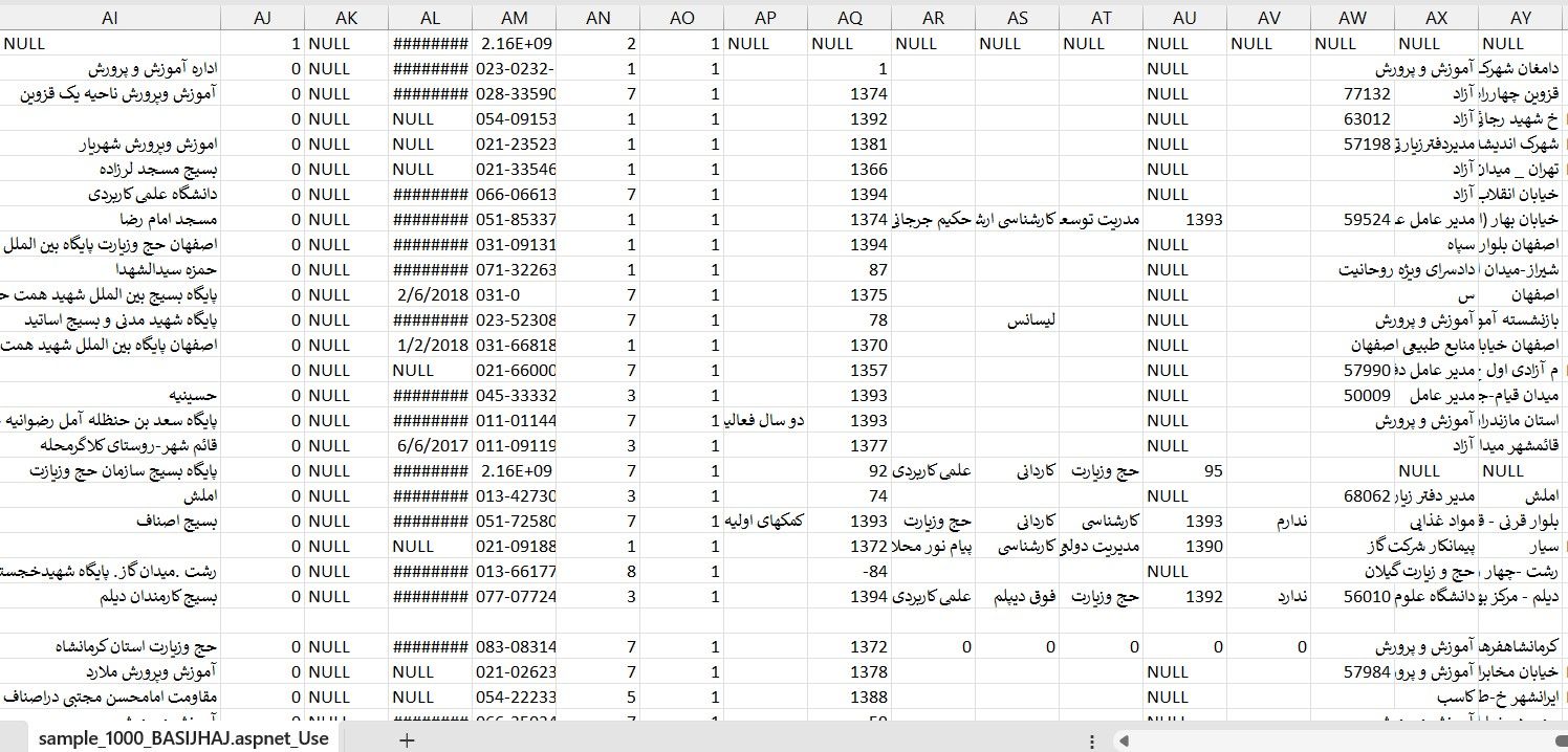 تصویر نمونه منتشر شده از اطلاعاتی که هکرها از بسیجیان اعزام شده به حج در اختیار دارند