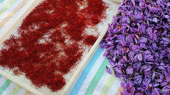 اتاق مشترک بازرگانی ایران و اسپانیا: زعفران ایرانی به نام اسپانیا به جهان صادر میشود