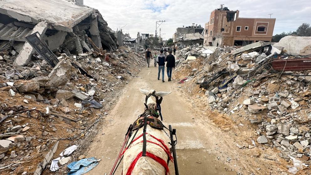 A donkey drawing a cart moves past the ruins of houses destroyed in Israeli strikes during the conflict, amid a temporary truce between Israel and the Palestinian group Hamas, in Khan Younis in the southern Gaza Strip November 28, 2023.