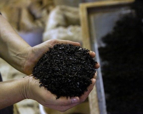 سریلانکا به جای پرداخت بدهی نفتی ۲۵۱ میلیون دلاری، به ایران چای میفرستد