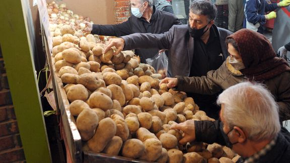 با قیمتهای فعلی و سرانه مصرف سیبزمینی، یارانه نقدی فقط کفاف تامین سیبزمینی مورد نیاز یک نفر را میدهد